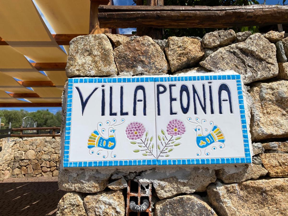 Villa Peonia Budoni Exterior foto